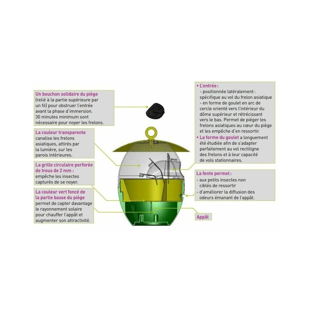 Piège à Frelons Et Guêpes Double Entrée - 4 Pièges Réutilisables Pour Extérieur, écologique