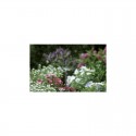 Micro asperseur vaporisateur - GARDENA 1371-29