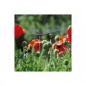 Micro-asperseur multi-surfaces - GARDENA 1396-29