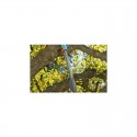Manche télescopique combisystem 210 - 390 cm Gardena 3721-20