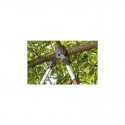 Coupe-branches télescopique 680BT Comfort Gardena 8779-20