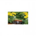 Asperseur pour petites surfaces 4,6 mm (3/16") - GARDENA  8321-29