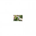 Coupe-branches GARDENA EasyCut 680B 12003-30