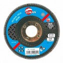DISQUE A LAMELLES BOMBE 125 Grain 40 Zirconium